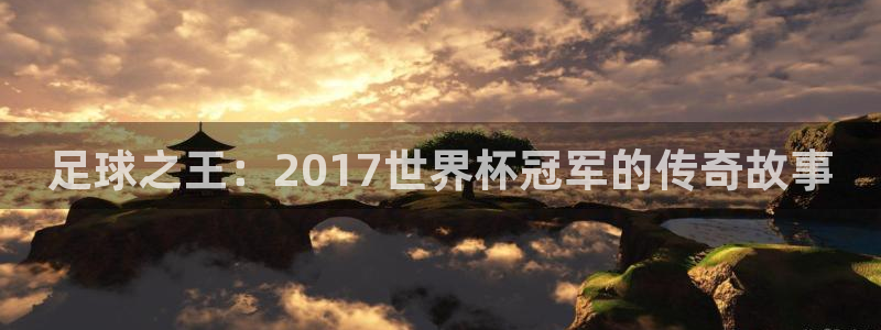 世界杯附加赛赛程表:足球之王:2017世界杯冠军的传奇故事