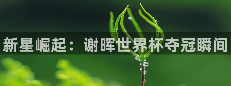 世界杯2026赛程时间表格:新星崛起:谢晖世界杯夺冠瞬间