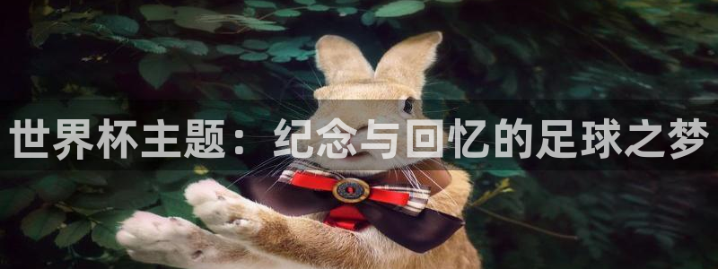 世界杯足球赛2026赛程时间:世界杯主题:纪念与回忆的足球之梦