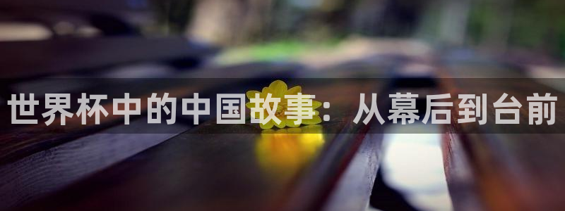 世界杯欧洲预选赛:世界杯中的中国故事:从幕后到台前