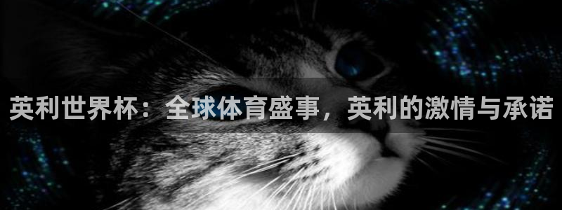 世预赛欧洲赛程表:英利世界杯:全球体育盛事,英利的激情与承诺
